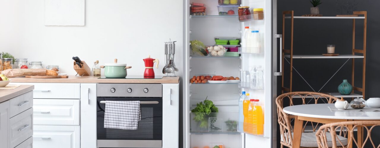 rent a fridge